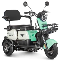Электротрицикл Rutrike Gelbert Vega 48V/60V 600Вт Зеленый