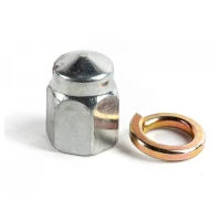 Гайка заднего колеса для электротрицикла RuTrike D1, D2, D4